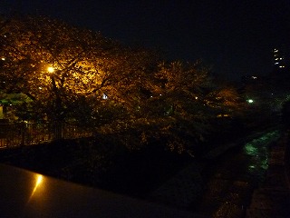 川の反対側から撮影